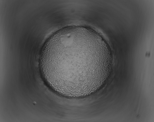 X0000091370010200708311535