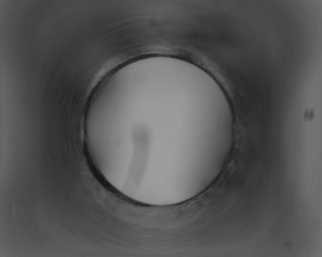 X0000091370011200708311535