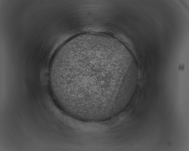 X0000091370012200708311535