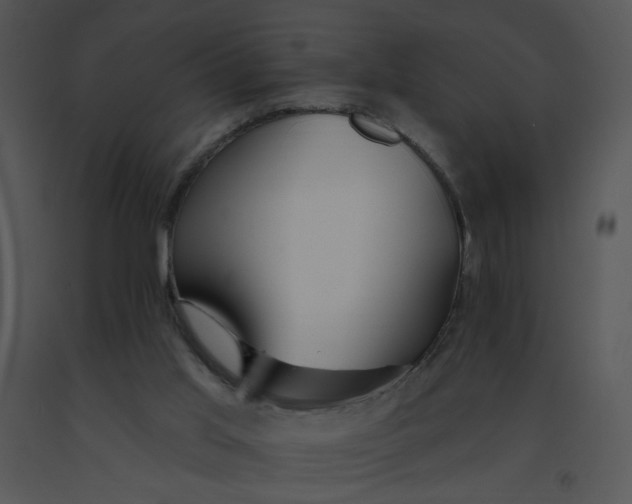 X0000091370013200708311535