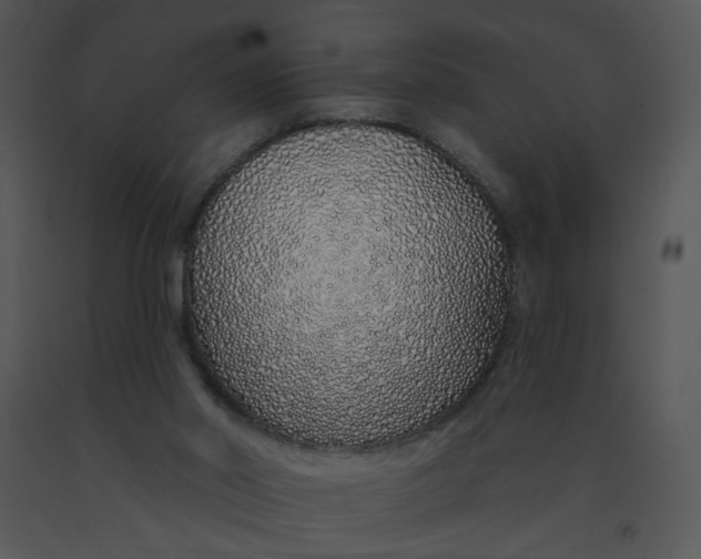 X0000091370014200708311534