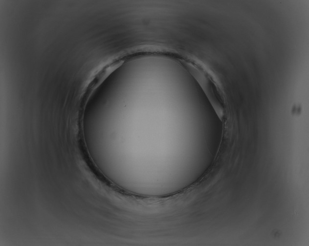 X0000091370015200708311534