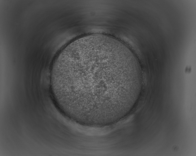 X0000091370016200708311534