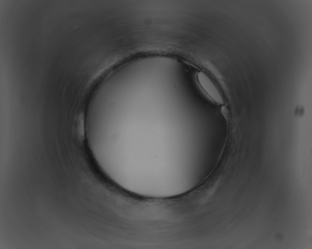 X0000091370020200708311534