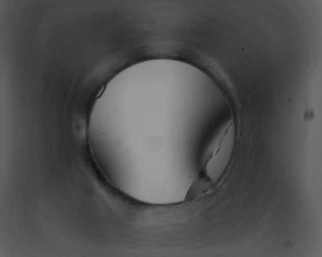 X0000091370021200708311534