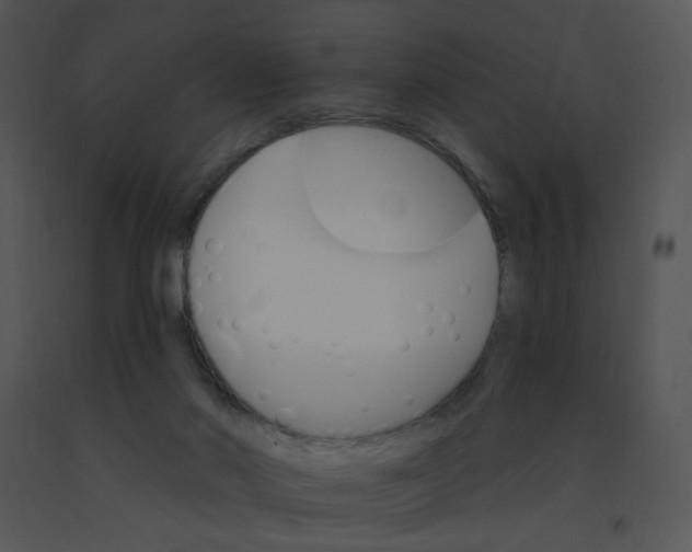 X0000091370022200708311534