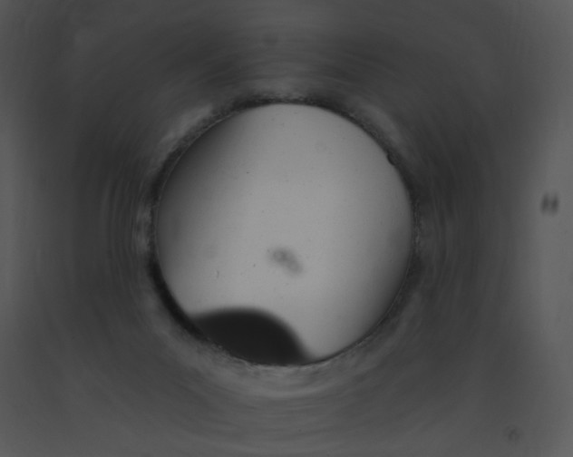 X0000091370023200708311534