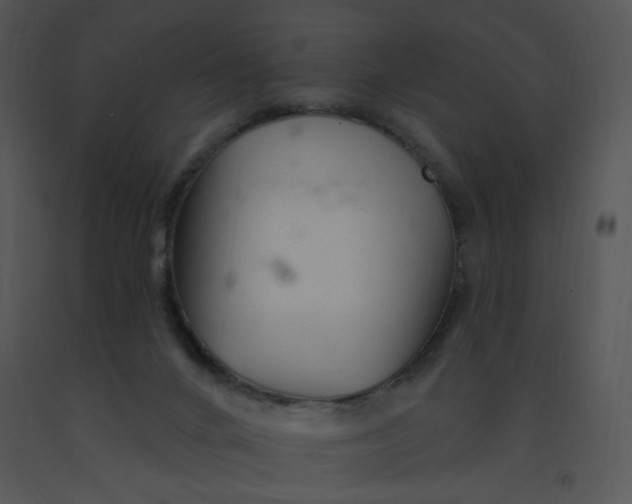 X0000091370024200708311534