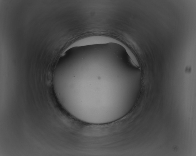 X0000091370025200708311534