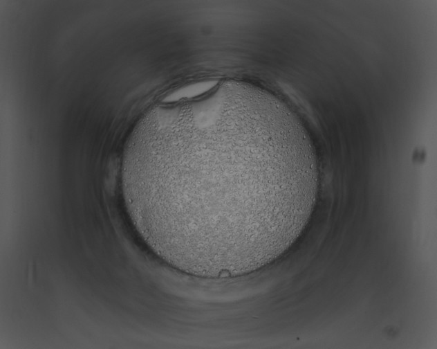 X0000091370026200708311534