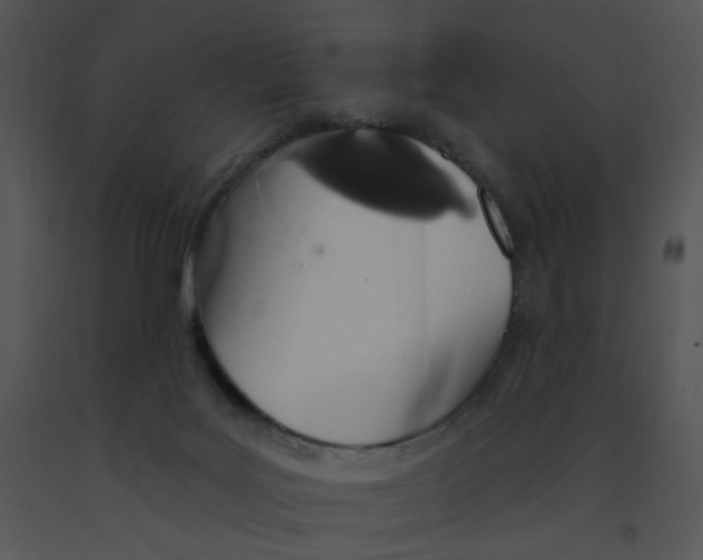 X0000091370027200708311534