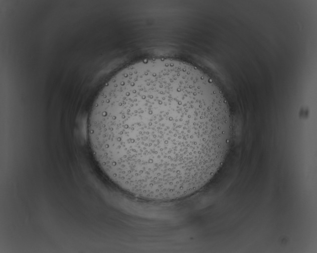 X0000091370028200708311534