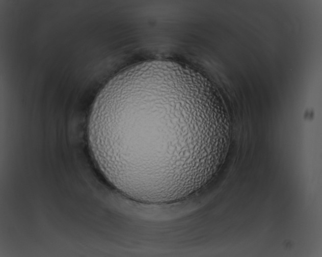 X0000091370030200708311534