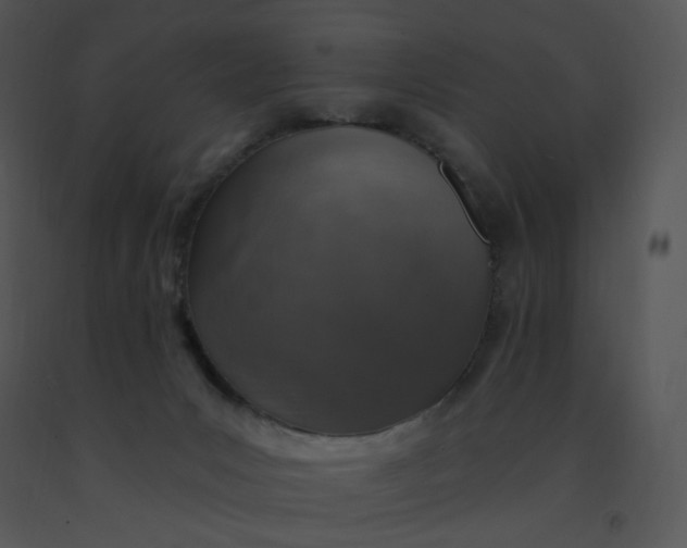 X0000091370031200708311534