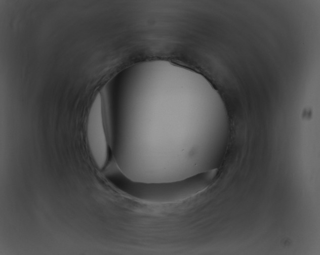 X0000091370033200708311534