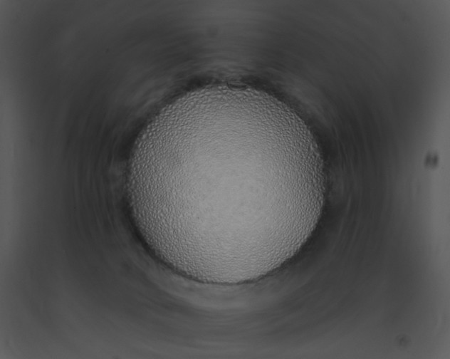 X0000091370034200708311534