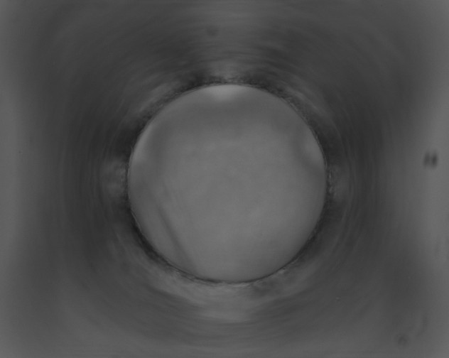 X0000091370036200708311534