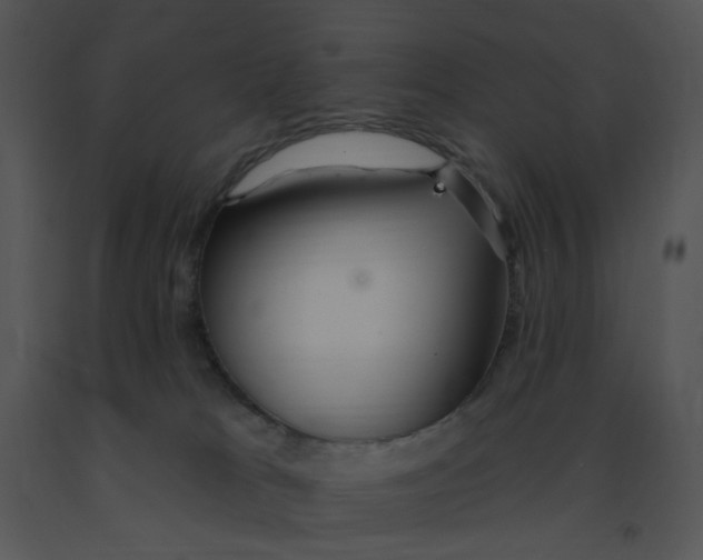 X0000091370037200708311534