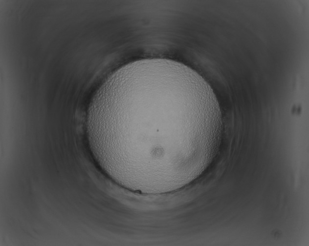 X0000091370038200708311534