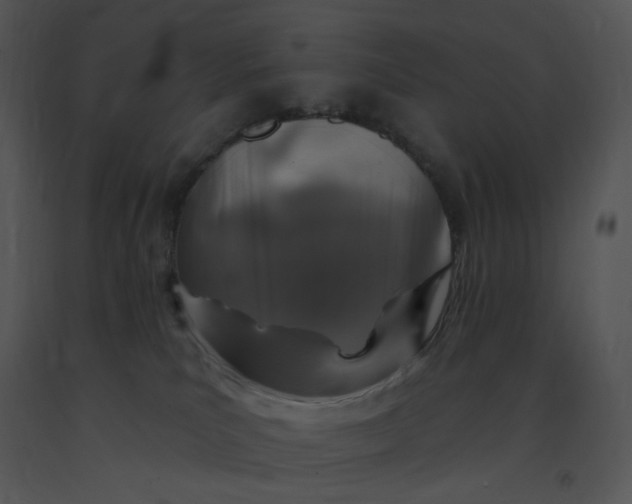 X0000091370039200708311534