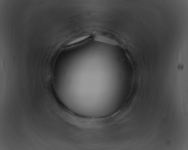 X0000091370040200708311534