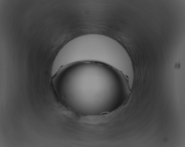 X0000091370041200708311534