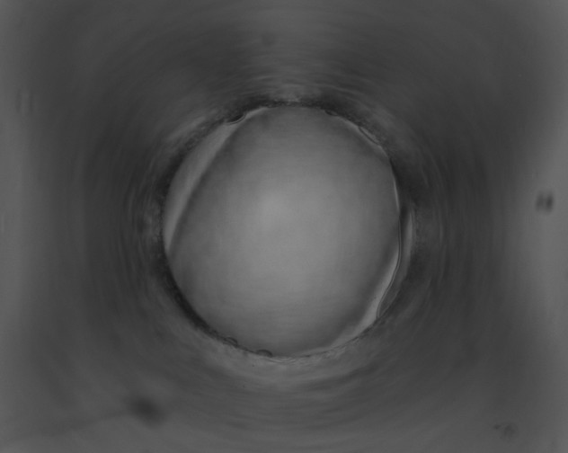 X0000091370043200708311534