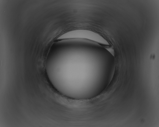 X0000091370044200708311534