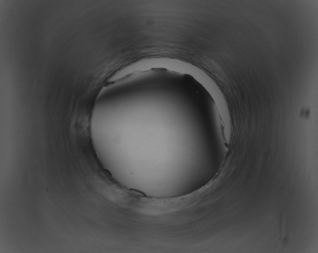 X0000091370045200708311534