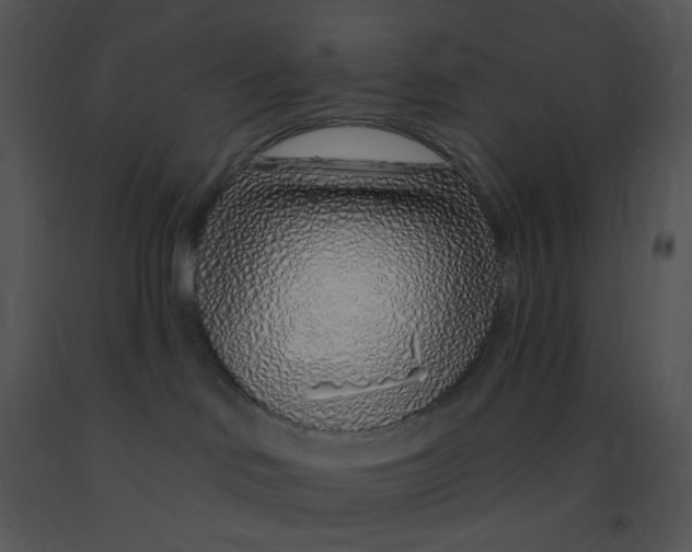 X0000091370046200708311534