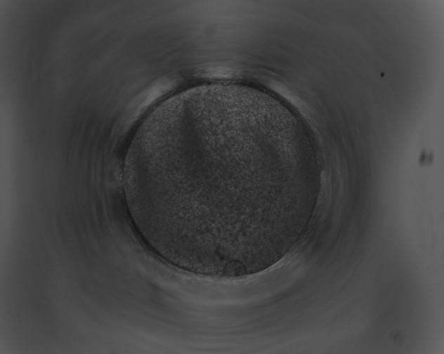 X0000091370048200708311534