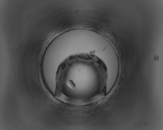 X0000091370049200708311533