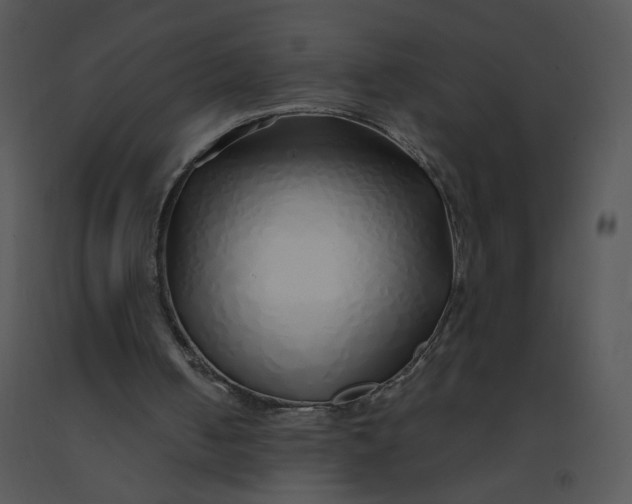 X0000091370050200708311533