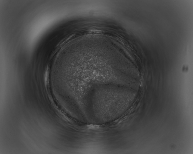 X0000091370052200708311534