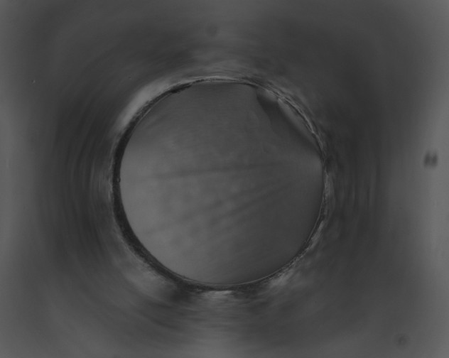 X0000091370054200708311534