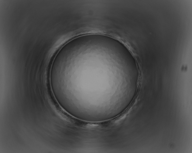 X0000091370055200708311534