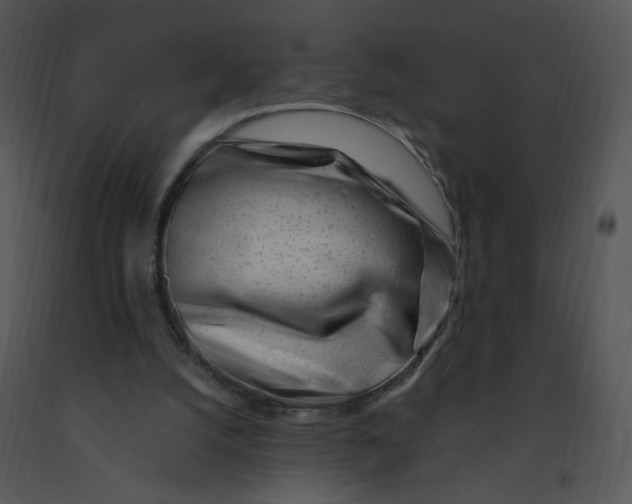 X0000091370056200708311534