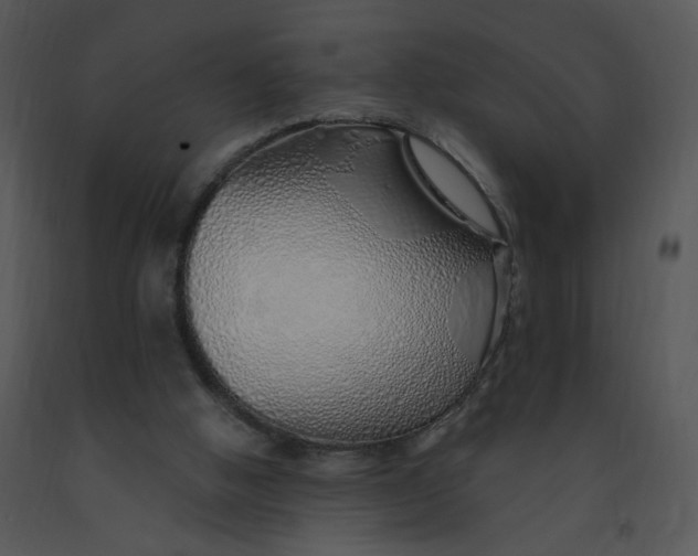 X0000091370058200708311534