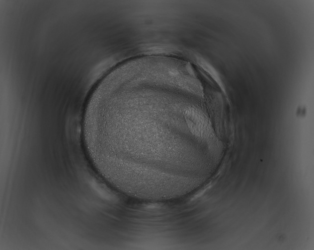 X0000091370059200708311534