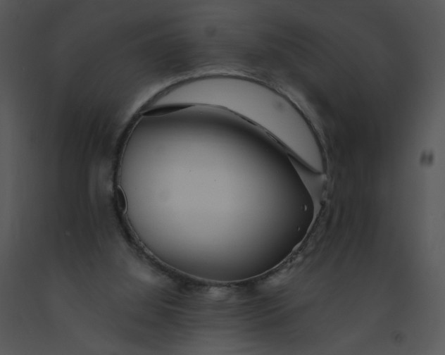 X0000091370060200708311534