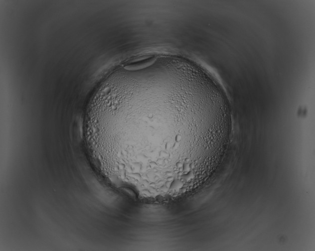 X0000091370061200708311534