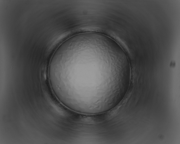 X0000091370062200708311534