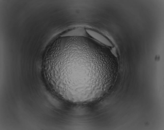 X0000091370063200708311534