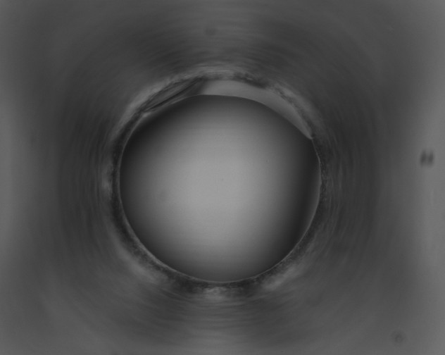 X0000091370064200708311534