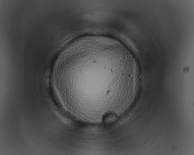 X0000091370065200708311534