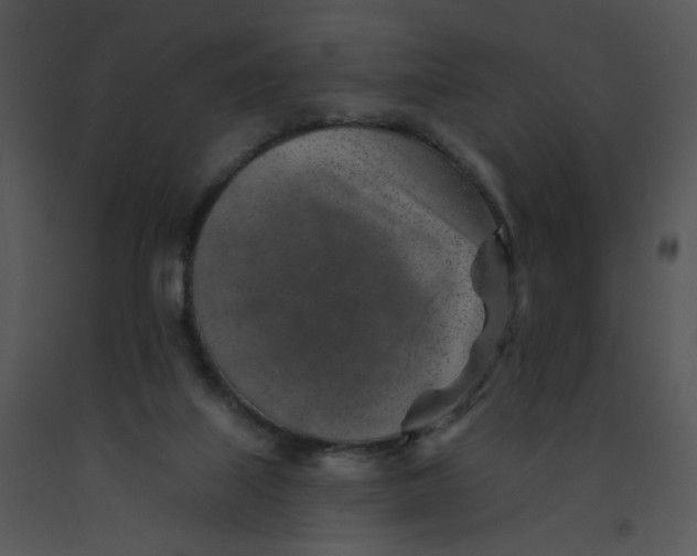 X0000091370067200708311534