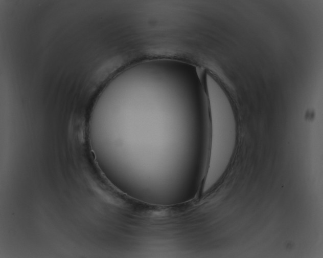 X0000091370068200708311534