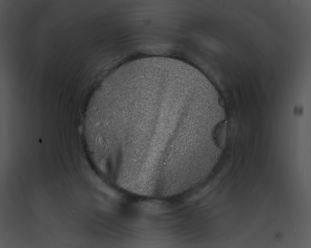 X0000091370069200708311534