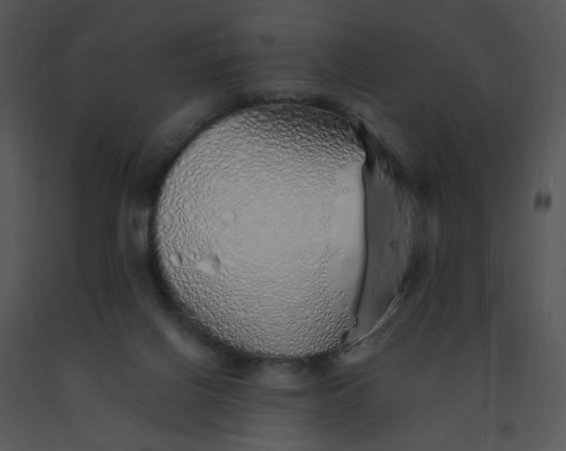 X0000091370070200708311534