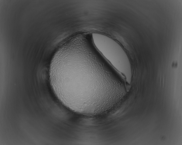 X0000091370071200708311534